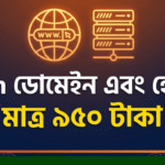 .com ডোমেইন এবং Hosting মাত্র ৯৫০ টাকা
